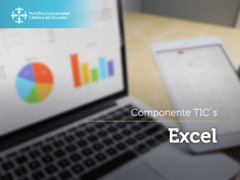 Excel