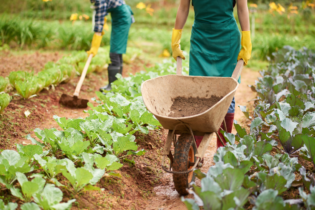 Agricultura, Silvicultura, Pesca y Veterinaria